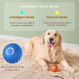 Smart Dog Ball