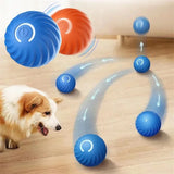 Smart Dog Ball