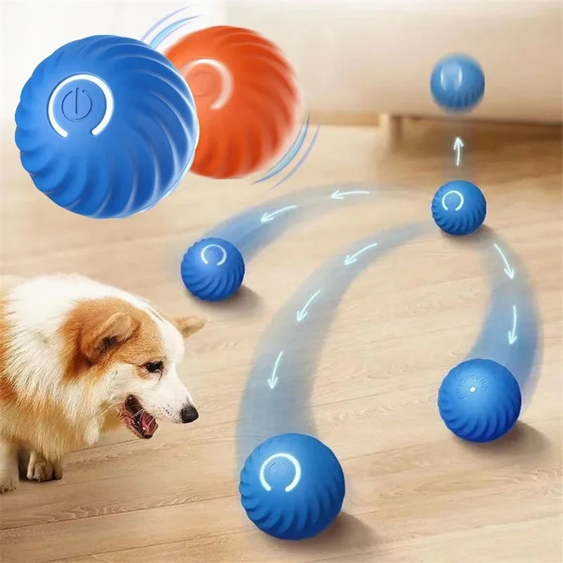 Smart Dog Ball