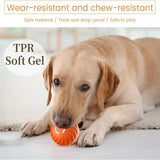 Smart Dog Ball