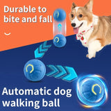 Smart Dog Ball